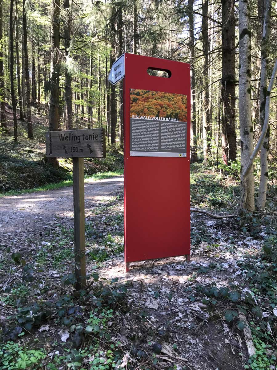 Äpple-Wegweiser im Wald beim Utzenhof. Foto: Baumann