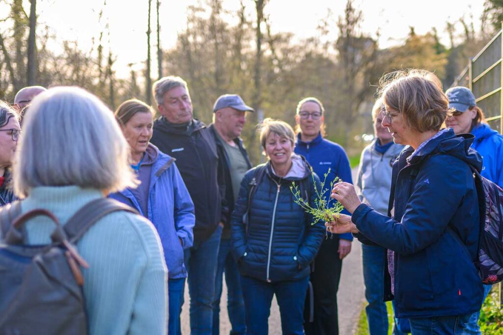 Die Natur birgt viele Geheimnisse, die es zu entdecken gilt. Biologin Anette Rosenbauer führt die Teilnehmer ihrer Exkursionen zu besonderen Schätzen und erklärt ihre charakteristischen Merkmale.