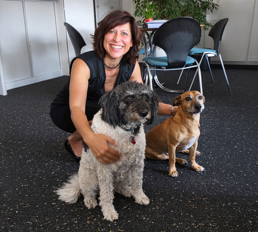 Sabine Bausch, Sabine Bausch Immobilien