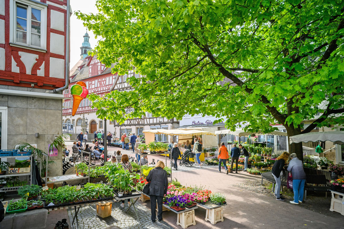 Der Backnanger Wochenmarkt ist ein beliebter Treffpunkt für viele Besucher aus der Stadt und dem Umland. Foto: Stephan Haase